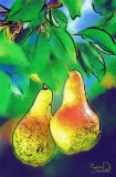 Pears