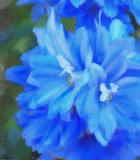 Blue Flowers by Tana - October, 2012