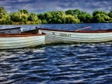 rowboats 3_filtered.jpg