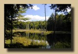 Beaver Lodge