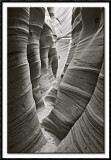 Zebra Slot Canyon in Monochrome