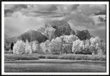 Autumn Snowstorm Clearing Over Mt. Moran