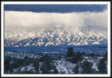 Wintry Mingus Mountains