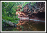 West Fork Reflection