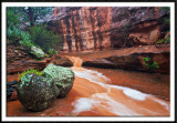 Bear Wallow Wash