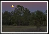 Moonrise Over Merritt Island
