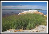 Shipwreck Island on Lake Kabetogama