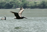 Sumidero Canyon