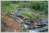 Old Cabin Site-02.jpg