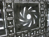 lens-like windows