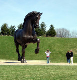 Da Vincis Horse