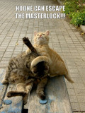 masterlockbi9.jpg