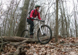 DSCF3039ps 800h.jpg
