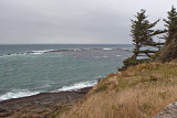 Cape Arago