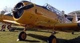 North American T6 Texan / USA / 1938