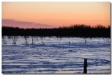 Neige glacée