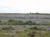 Rocks, rocks, and more rocks.  The limestone deposits of the Burren are up to 2500 ft deep