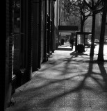 morning on 4th ave
