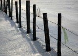 frozen landscape