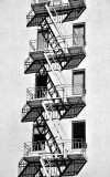 fire escapes and windows