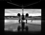 ready to fly