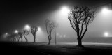 foggy night on airport way