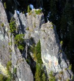 life on outcrop