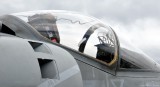 Harrier Cockpit