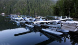 Beavers resting at Eagle Nook