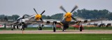 Pair of Mustangs