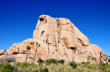 Joshua Tree National Park