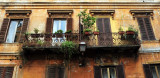 garden on the balcony