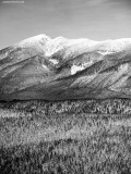 landscape in Western Washington