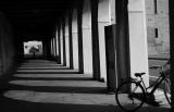 cycle
