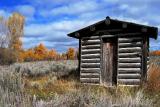 cabin in park