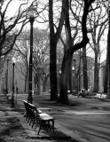 benches in the park