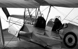 Tiger Moth