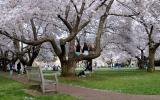 springtime