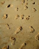 footprints in the sand