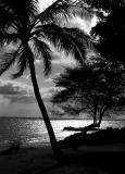 tropical sunset