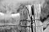 fence post