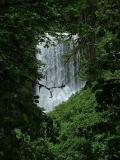 Waterfall in trees DSCF0483