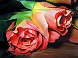 Patricia's Roses
