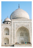 Excellent dome of Taj