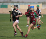 Camogie2