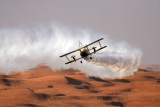 Wing Walking Women