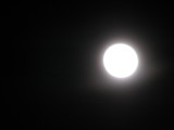 Couldn't get a Clear Shot