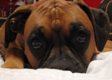 Isn't she lovely??