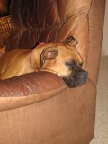 Baby girl stole my seat