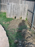 The Fence has begun